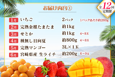 【12回定期便】旬 人気 フルーツ 南国宮崎産 マンゴー ライチ 金柑たまたま シャインマスカット ピオーネ いちご みかん 日向夏 メロン 梨 柑橘 きんかん ぶどう 果物 詰め合わせ 宮崎県 九州 1年 毎月お届け＜Bコース M200＞