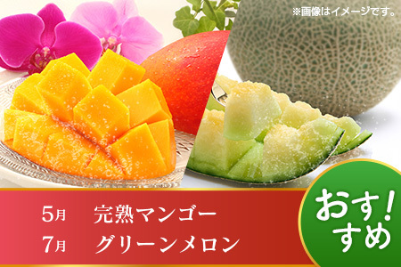 【12回定期便】旬 人気 フルーツ 南国宮崎産 マンゴー ライチ 金柑たまたま シャインマスカット ピオーネ いちご みかん 日向夏 メロン 梨 柑橘 きんかん ぶどう 果物 詰め合わせ 宮崎県 九州 1年 毎月お届け＜Bコース M200＞