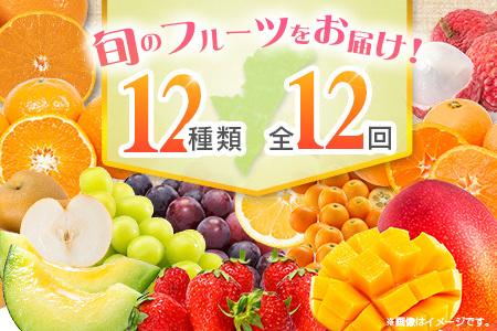 【12回定期便】旬 人気 フルーツ 南国宮崎産 マンゴー ライチ 金柑たまたま シャインマスカット ピオーネ いちご みかん 日向夏 メロン 梨 柑橘 きんかん ぶどう 果物 詰め合わせ 宮崎県 九州 1年 毎月お届け＜Bコース M200＞