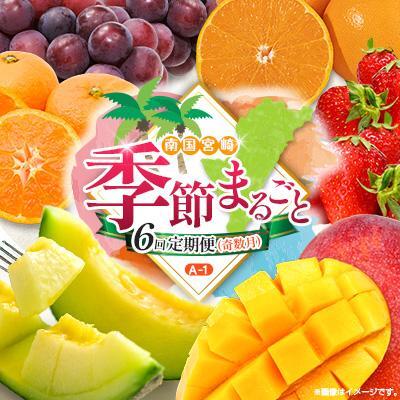 【奇数月 6回定期便】旬 人気 フルーツ 南国宮崎産 太陽のタマゴ ピオーネ いちご みかん メロン マンゴー 柑橘 ぶどう 果物 詰め合わせ 宮崎県 九州＜A-1コース M110＞ 6,570円