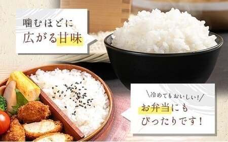 宮崎県の大自然が育んだお米【マグマシラス米】5kg 精米 宮崎県産 九州 国産