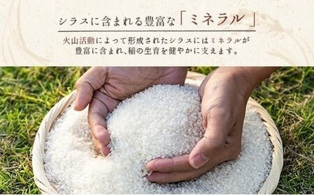 宮崎県の大自然が育んだお米【マグマシラス米】10kg 精米 宮崎県産 九州 国産