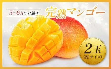 ＜2026年発送＞ フルーツ 定期便 完熟マンゴー ピオーネ ぶどう 先行予約 初夏 秋 旬 果物 全2回