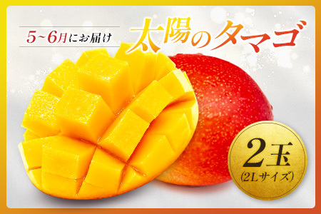 ＜2026年発送＞ フルーツ 定期便 太陽のタマゴ シャインマスカット 完熟 マンゴー ぶどう 先行予約 初夏 秋 旬 果物 全2回