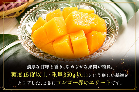 ＜2026年発送＞ フルーツ 定期便 太陽のタマゴ シャインマスカット 完熟 マンゴー ぶどう 先行予約 初夏 秋 旬 果物 全2回