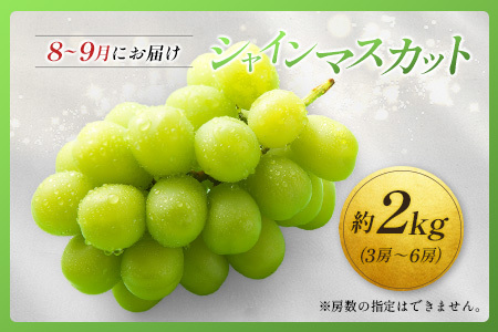 ＜2026年発送＞ フルーツ 定期便 太陽のタマゴ シャインマスカット 完熟 マンゴー ぶどう 先行予約 初夏 秋 旬 果物 全2回