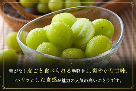 ＜2026年発送＞ フルーツ 定期便 太陽のタマゴ シャインマスカット 完熟 マンゴー ぶどう 先行予約 初夏 秋 旬 果物 全2回