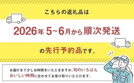 ＜2026年発送＞ フルーツ 定期便 太陽のタマゴ ピオーネ 完熟 マンゴー ぶどう 先行予約 初夏 秋 旬 果物 全2回