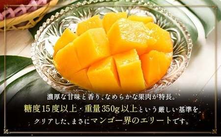 ＜2026年発送＞ フルーツ 定期便 太陽のタマゴ ピオーネ 完熟 マンゴー ぶどう 先行予約 初夏 秋 旬 果物 全2回