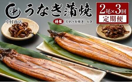 ＜定期便＞2尾×全3回 国産 うなぎ 蒲焼 有頭 計1kg以上（1回あたり 計362g以上） 肝焼き・たれ付き 宮崎県産 鰻 中村商店