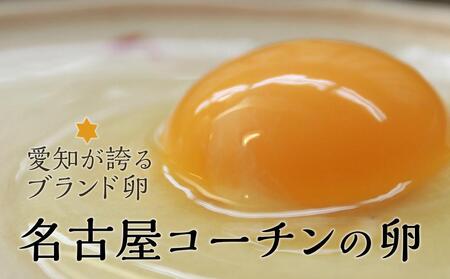 ☆名古屋コーチンの卵40個入り（36個+破卵保証4個）