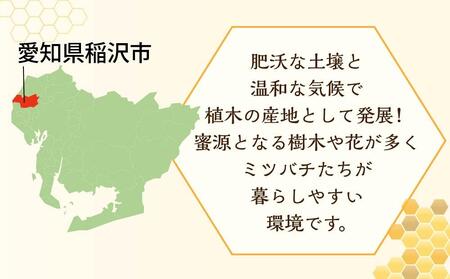 ☆稲沢のモチの木はちみつ【500ｇ×２本】