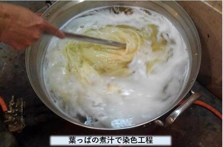 稲沢市特産のイチョウの葉っぱから染めた尾州ウールのファッションマフラー