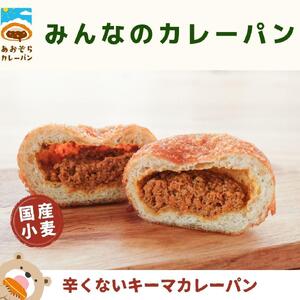 ザクッもち!国産小麦のスパイスカレーパン4種×2個ずつ食べ比べセット