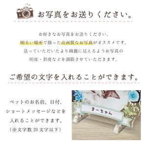 【メモリアルフォトフレーム～フラワー～ 全4種/ミニサイズ　【お花畑】