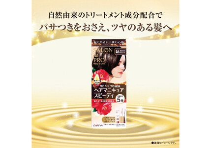 ダリヤ サロン ド プロ ヘアマニキュア・スピーディ<アッシュブラウン>3個セット