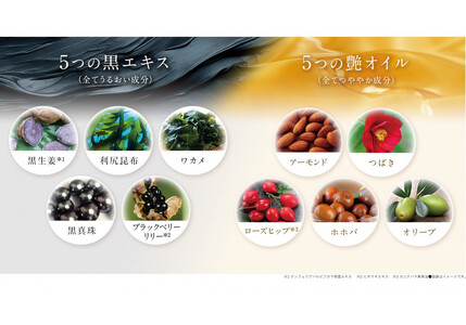 ※2026年2月1日から受付※ダリヤ　サロン　ド　プロ　カラートリートメント＜ダークブラウン＞3個セット