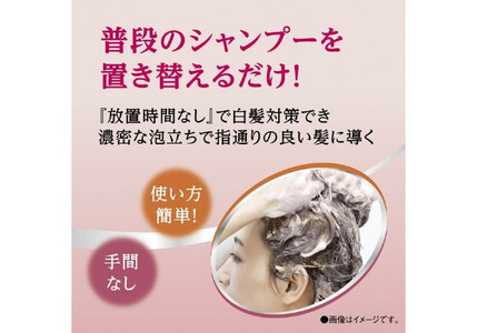 ダリヤ サロン ド プロ カラーシャンプー&トリートメント<ナチュラルブラウン>各3個セット