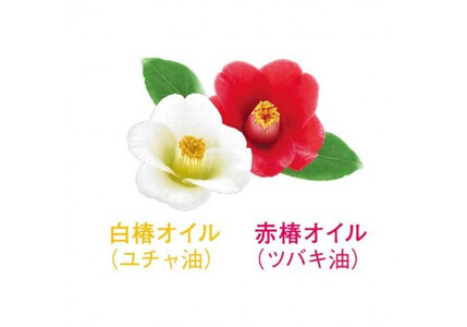 ダリヤ 椿オイル配合 ヘアケア各3個セット