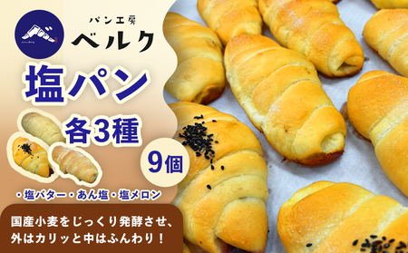 【ベルクの塩パンを全種類堪能】塩パン全種食べ比べセット計9個