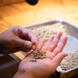 サーム23焙煎ドリップバッグ　カフェインレス　10g×30袋　ハンドピック【1415792】