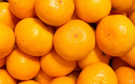 【みかんの王道】宮田農園の宮川みかん　4Kg【1467258】