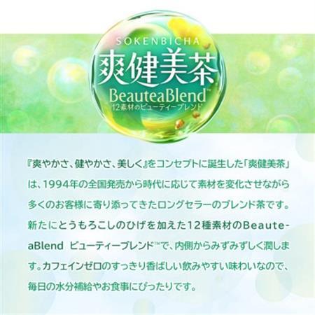 日本コカ・コーラ 爽健美茶 2L 6本 ペットボトル ケース【1721656】
