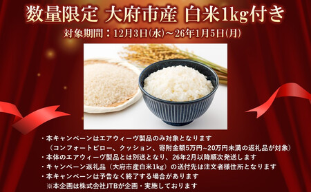 【大府市産お米1kg付】エアウィーヴ ピロースリム みな実のまくら 2個 セット