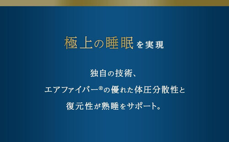 【大府市産お米1kg付】エアウィーヴ ピロー スタンダード 2個 セット