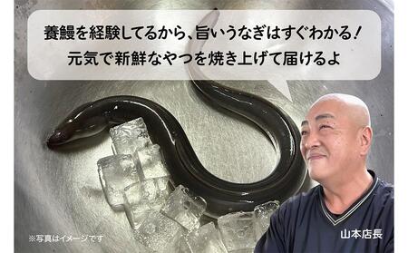 ＜着日指定必須＞【特大・国産うなぎ・蒲焼２尾】養鰻場を知るこだわり大将の絶品うなぎ