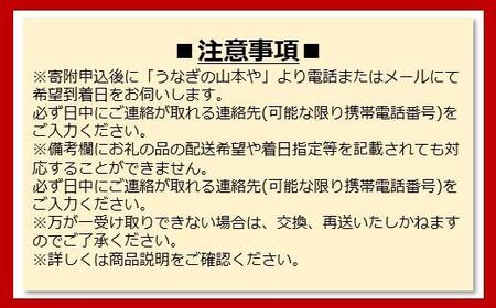 ＜着日指定必須＞【特大・国産うなぎ・蒲焼２尾】養鰻場を知るこだわり大将の絶品うなぎ