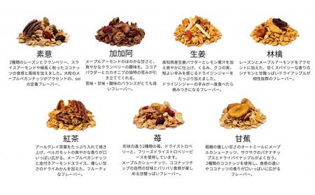 【定期便・全６回】毎月届く soi 定番グラノーラ７種BOX