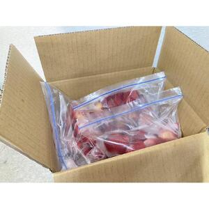 冷凍 いちご 1.2kg 400g × 3袋 いちご