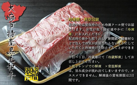 【期間・数量限定】大府市特産 A5黒毛和牛特選サーロイン塊肉 1.0kg
