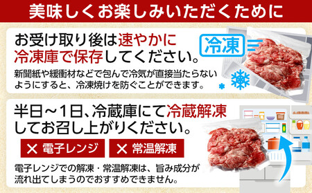 【期間・数量限定】大府市特産 A5黒毛和牛特選サーロイン塊肉 1.0kg