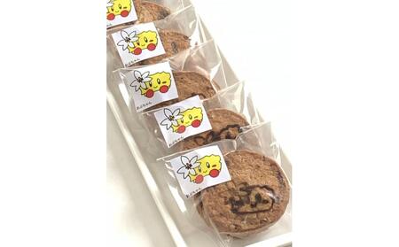 ザッ,ファミリー詰合