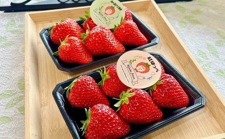 【先行予約・数量限定】【贈答用・3L~4Lサイズ・大粒】かおり野いちご500g(朝採れ完熟 約250g×2P)