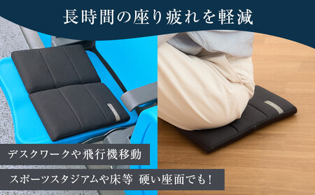 エアウィーヴ キャリークッションmini