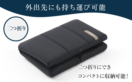 エアウィーヴ キャリークッションmini