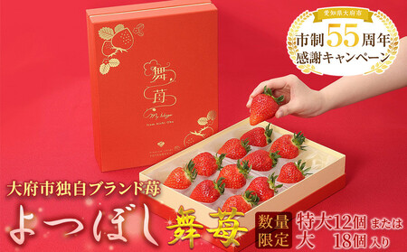 【ふるなび限定】 希少!ブランド苺『舞苺』品種:よつぼし FN-Limited-SP