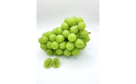 【先行予約2026年8月頃発送】大府市産 シャインマスカット800g(1房入り)