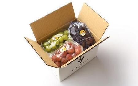 【2026年発送】シャインマスカット＋お任せぶどう 約1.5kg（2～3房）