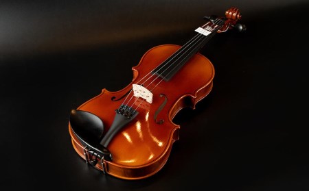 No.230 アウトフィットバイオリン 1/10サイズ // バイオリン バイオリン楽器