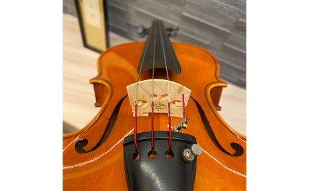 No.310set アウトフィットバイオリン 1/2サイズ // バイオリン バイオリン楽器