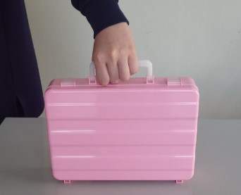 インスリン収納ケース （白）