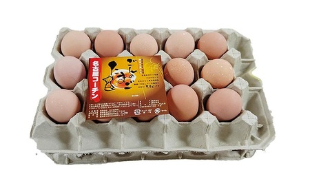 【3か月定期便】日本三大地鶏！！ 「純系　名古屋コーチンの卵」（30個）　本当に美味しい食べ物は調味料の味に負けません！ // 定期便 3か月定期便 【卵 たまご 玉子 卵かけご飯 名古屋コーチン 卵】