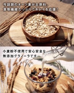 【green　GRANOLA】グラノーラお試しセット2 // グラノーラ グラノーラセット