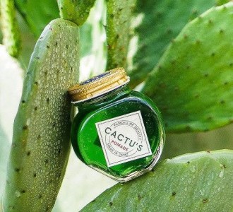 ＜大容量 180g＞美容師発案のCACTU’S POMADE（カクタスポマード）