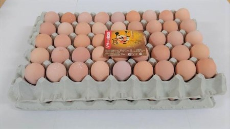 業務用　日本三大地鶏！！ 「純系　名古屋コーチンの卵」（90個）　本当に美味しい食べ物は調味料の味に負けません！【卵 たまご 玉子 卵かけご飯 名古屋コーチン 卵】