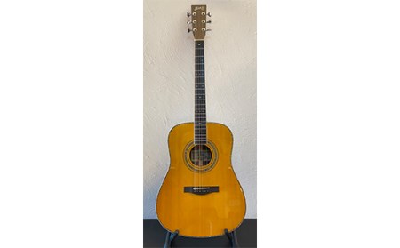 【Three S アコースティックギター】SUZUKI VIOLIN W-460 // ギター アコースティックギター